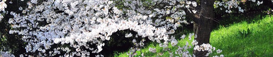 奈酢美の部屋　別館